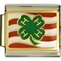 4H Italian Charm image
