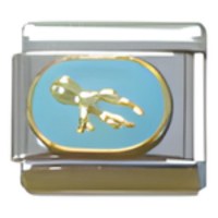 Aquarius Zodiac Italian Charm