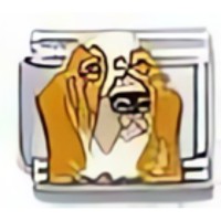 Bloodhound Italian Charm-1 image