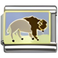 Buffalo Italian Charm_1 image