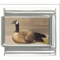 Canadian Goose Photo Italian Charm image