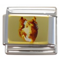 Collie on gold Italian Charm image