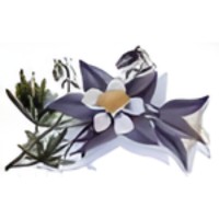 Columbine 1 Photo Italian Charm image