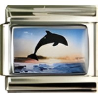 Dolphin in Sunset Photo Italian Charm image
