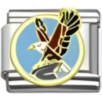 Eagle Italian Charm image