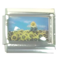 Field of Sunflower Photo Italian Charm image