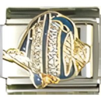 Fish Glitter Tropical Tang Italian Charm image