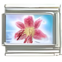 Flower Italian Charm image