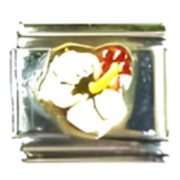 Flower White Hibiscus Italian Charm image
