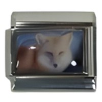 Fox Photo Italian Charm image