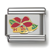 Hawaii Italian Charm 3 image