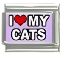 I (heart) my Cats Italian Charm image