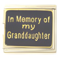 In Memory of my Granddaughter Megalink Italian Charm image