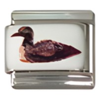Loon C.A.S.T. Enamel Italian Charm image
