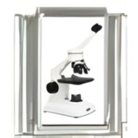 Microscope Photo Italian Charm image