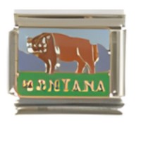Montana With Buffalo Italian Charm image