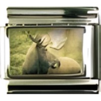 Moose Photo Italian Charm image