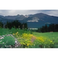 Mountain Scene 3 Photo Italian Charm image