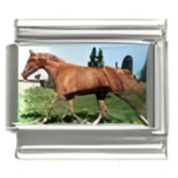 Quarter Horse Photo Italian Charm image