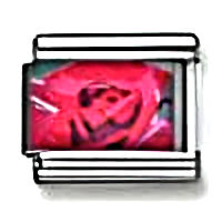 Red Rose Photo Italian Charm