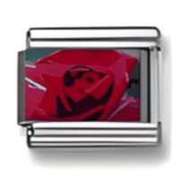 Red Rose Photo Italian Charm image