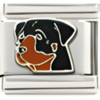 Rottweiler Dog Italian Charm_1 image