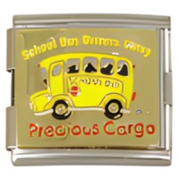 School Bus Megalink-1 image