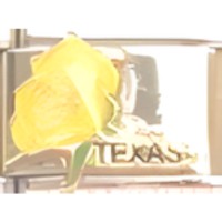 TX Yellow Rose Italian Charm image