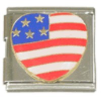 US Heart Megalink image