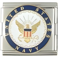 US Navy Megalink image