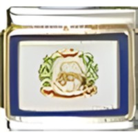 West Virginia State Flag Italian Charm image