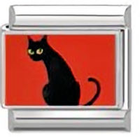Black Cat On Red Italian Charm