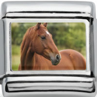 Horse Photo Italian Charm