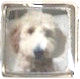 Custom Pet Photo Italian Charm