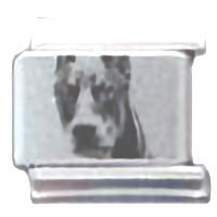 Doberman Photo Laser Italian Charm