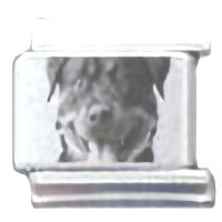 Rottweiler Photo Laser Italian Charm