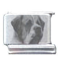 St. Bernard Photo Laser Italian Charm