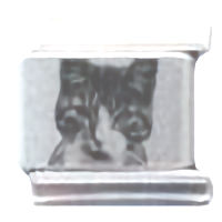 Cat Photo Laser Photo Italian Charm