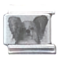Papillon Photo Laser Italian Charm