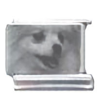 Pomeranian Photo Laser Italian Charm