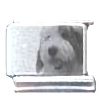 English Sheepdog Photo Laser Italian Charm