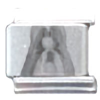 Shih Tzu Photo Laser Italian Charm