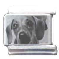 Dachshund Photo Laser Italian Charm