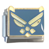 USAF Logo Italian Charm-2 image