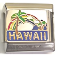 Hawaii Italian Charm 5 image