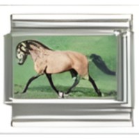 Horse Photo Italian Charm image (1)