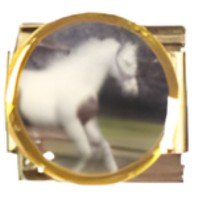 Horse Photo Italian Charm image (2)