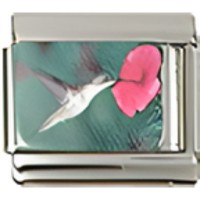 Hummingbird Photo Italian Charm image