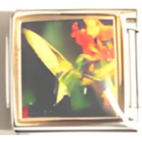 Hummingbird Photo talian Charm image