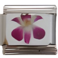 Iris Flower Italian Charm image